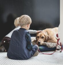Två barn sitter på golvet och klappar en liggande hund som vilar på en kudde.