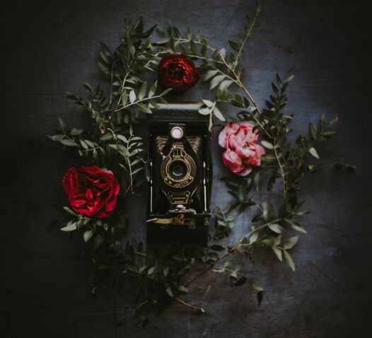 kamera blommor vintage