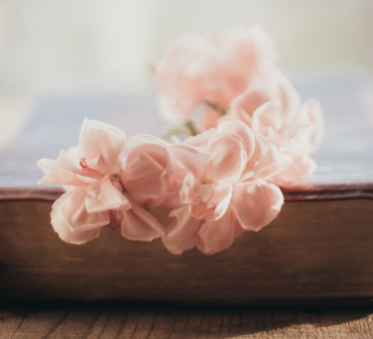 En bok med rosa blommor liggande ovanpå.