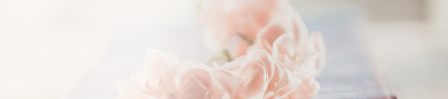 Rosa blommor ligger mjukt på en suddig bakgrund i pastelltoner.
